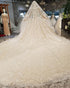 Sparkly Stars Long Lace Wedding Veils with Beadings for Brides 3 meters Length